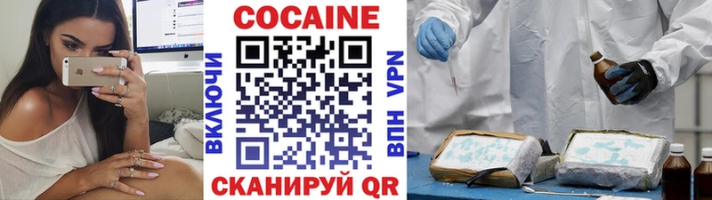 Кокаин FishScale  mega рабочий сайт  Питкяранта  цена  