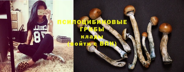 синтетический гашиш Пролетарск