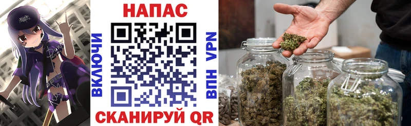 Бошки Шишки марихуана  Питкяранта 